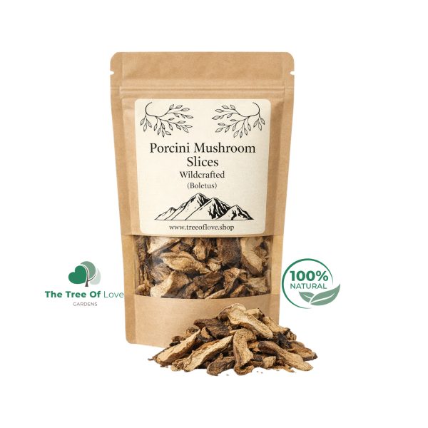 Porcini Mushroom Slices