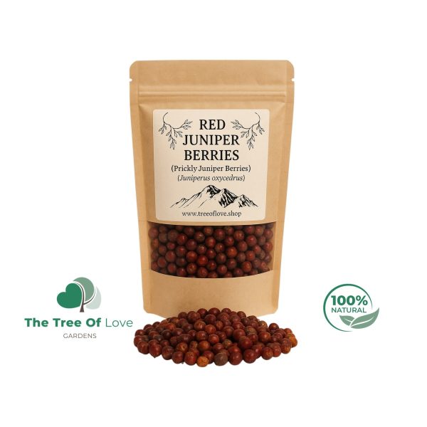 PRICKLY JUNIPER Berries