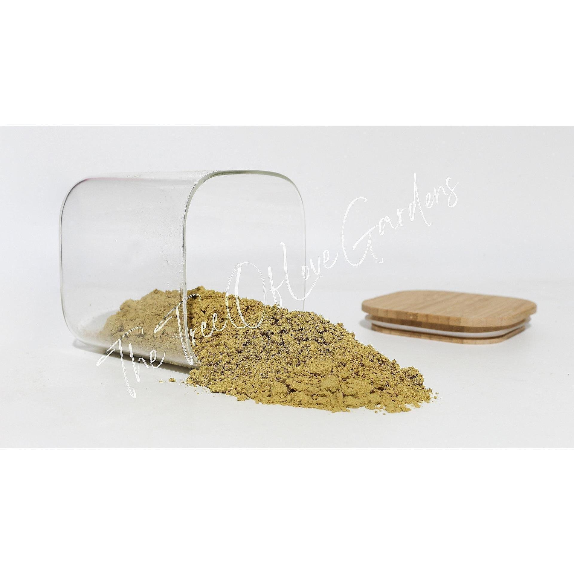 Pumpkin Seed Protein Powder