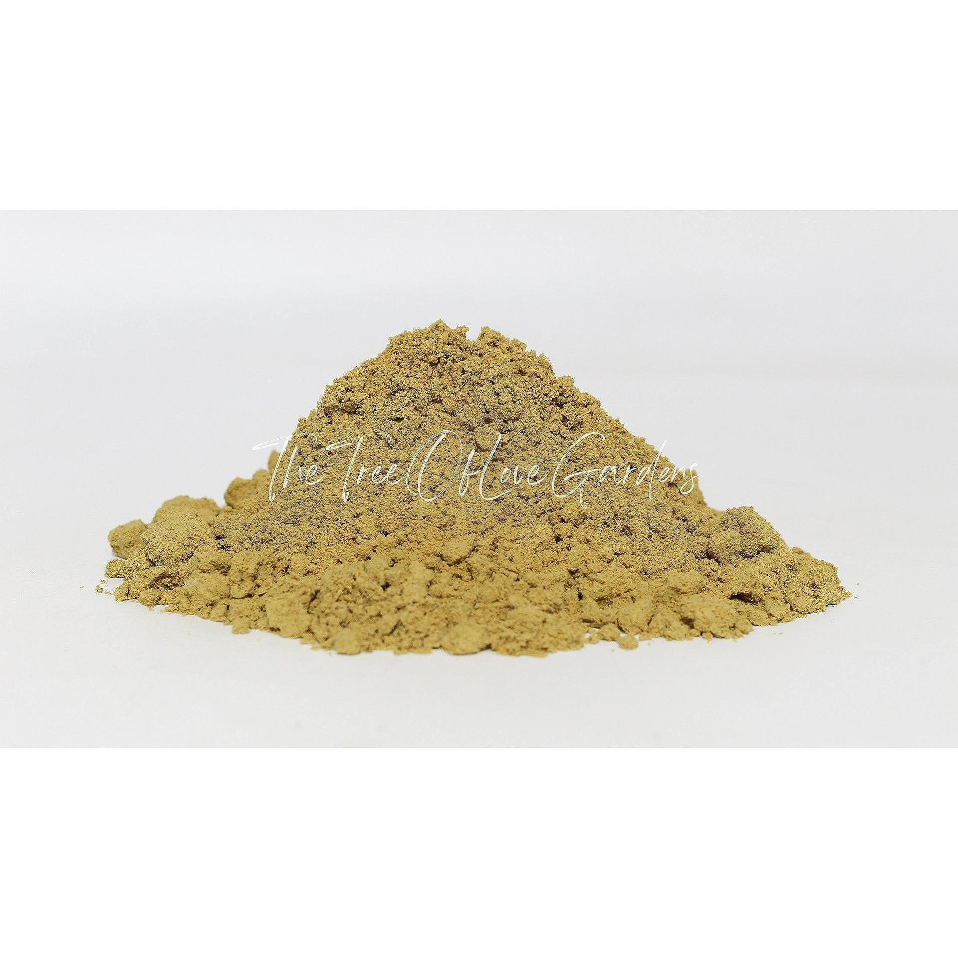 Pumpkin Seed Protein Powder