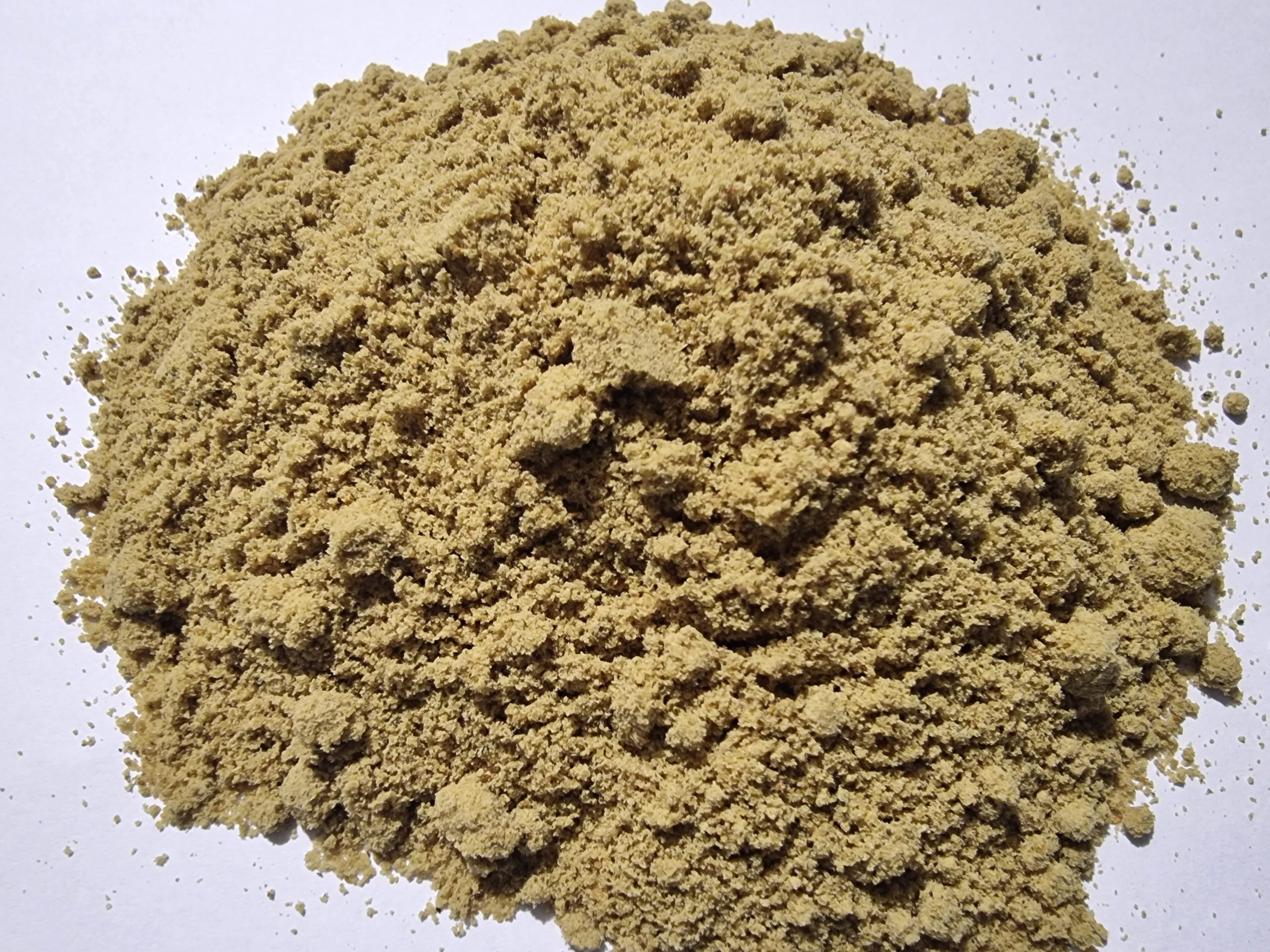 Pumpkin Seeds Powder