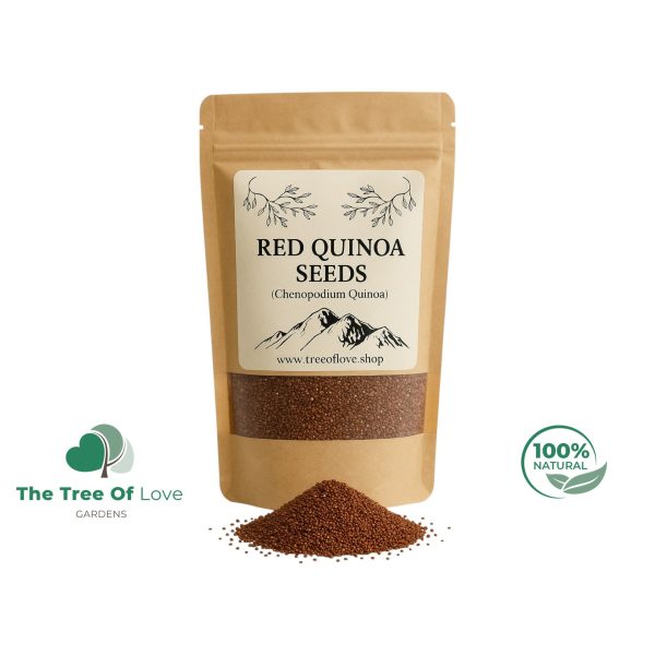 Red Quinoa Seeds