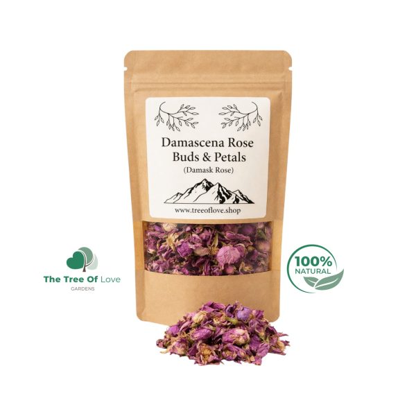 Damask Rose Buds and Petals