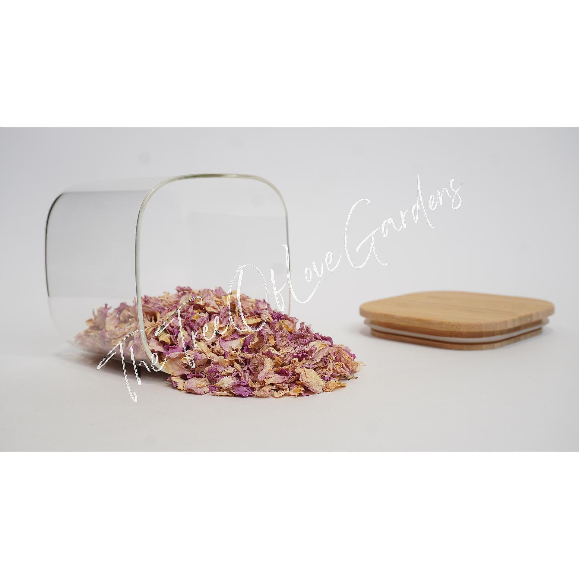 Rose Petals