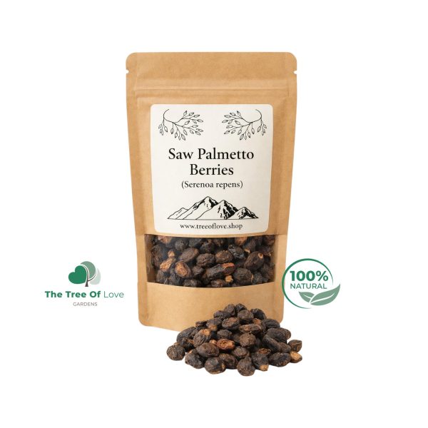 Saw Palmetto Berries