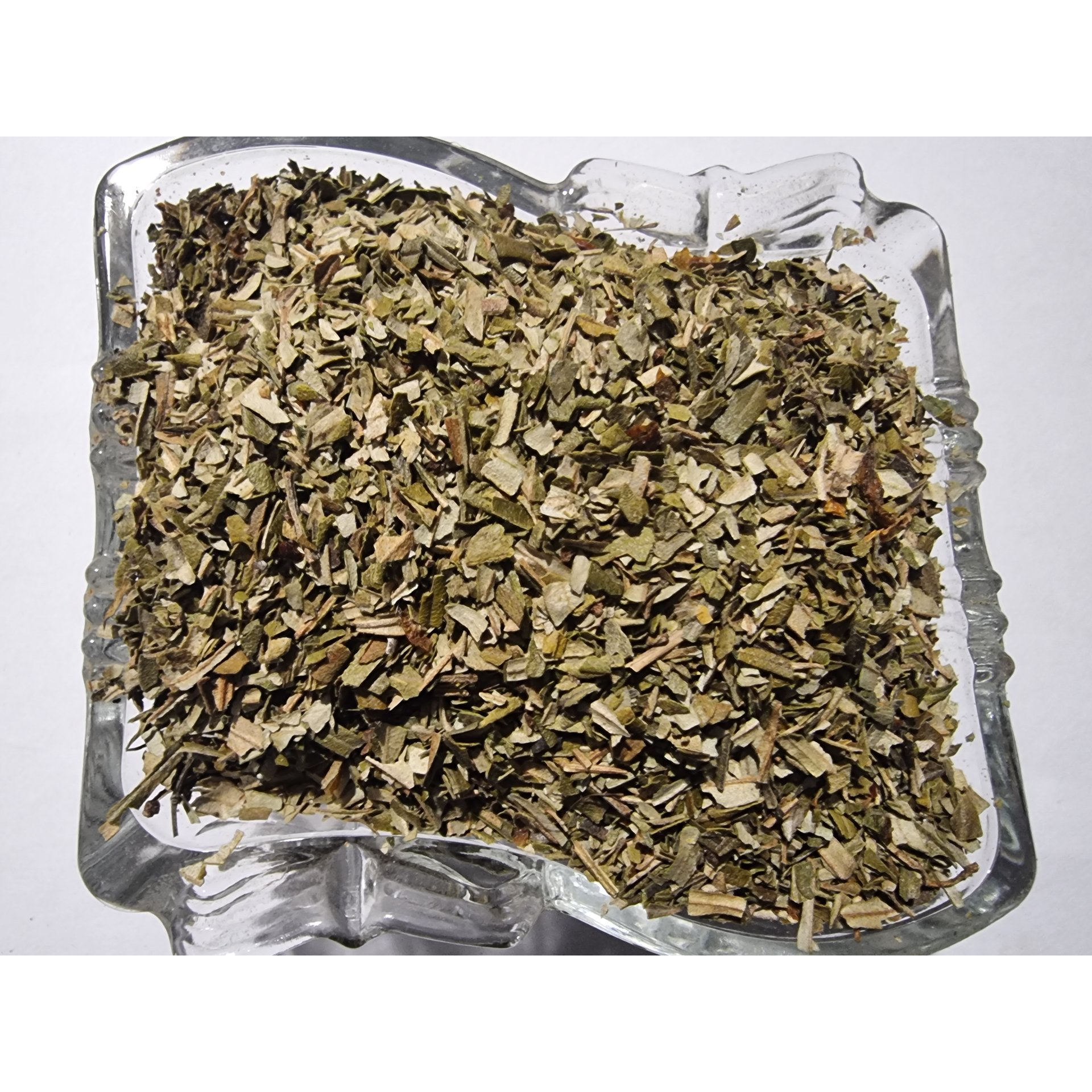 Sea Buckthorn Leaf
