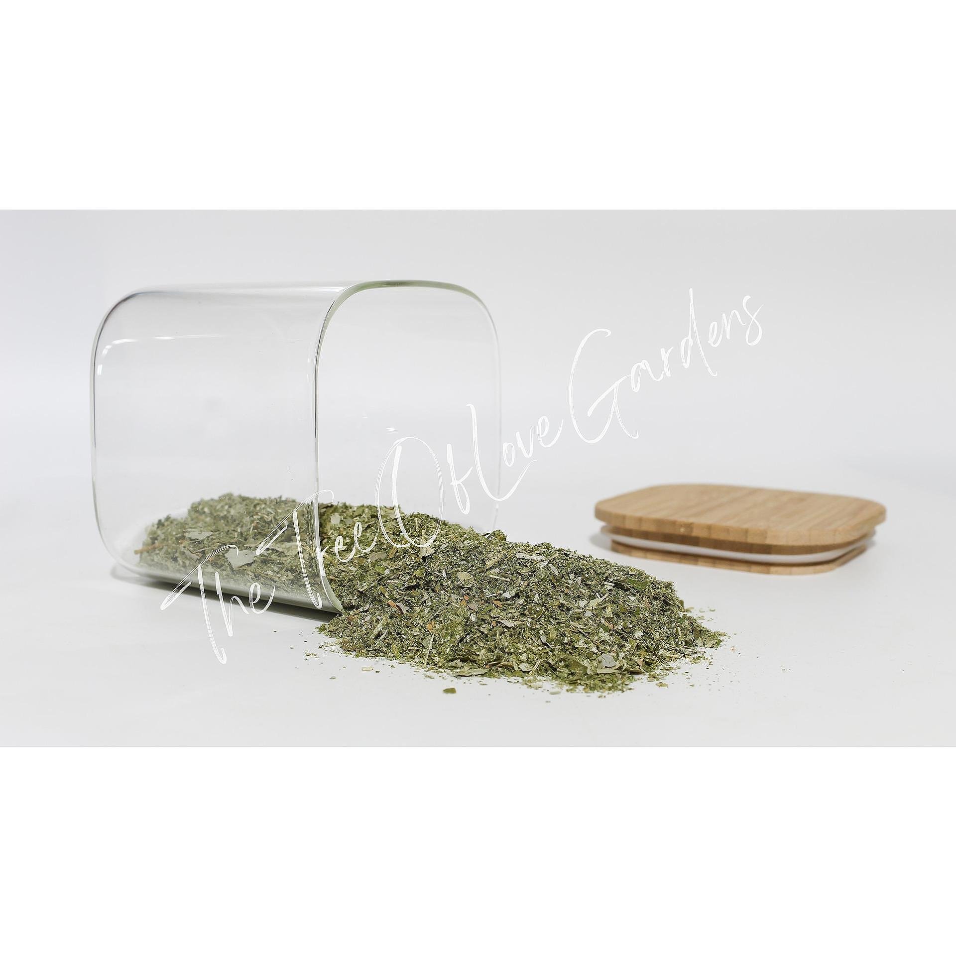 Sea Buckthorn Leaf