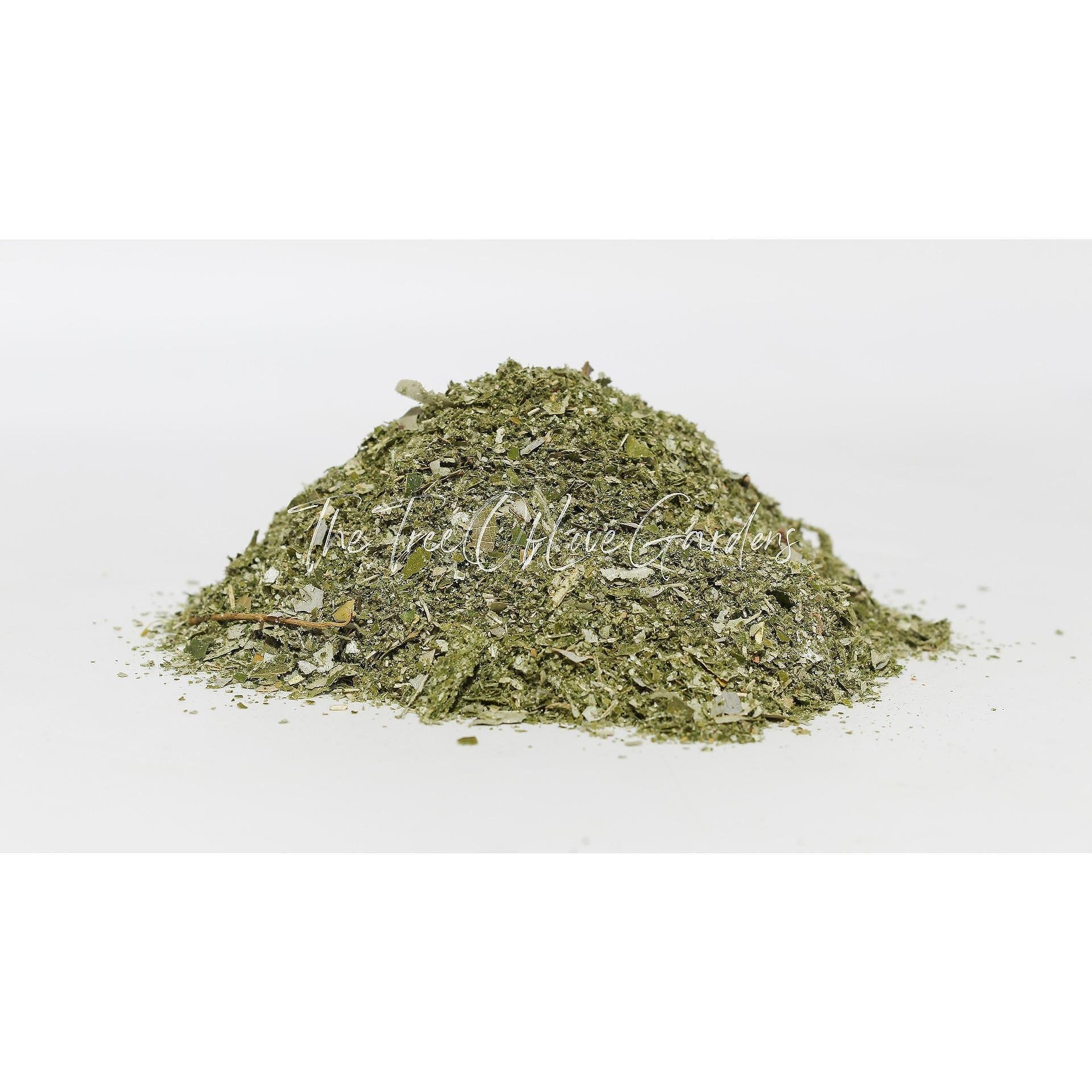 Sea Buckthorn Leaf