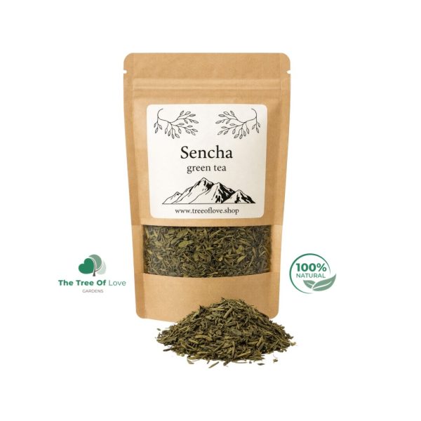 Sencha Green Tea - Camellia sinensis