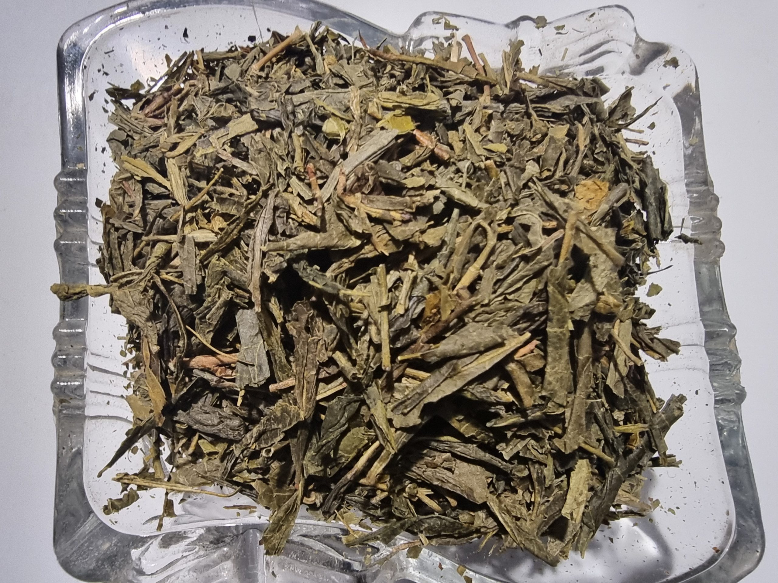 Sencha Green Tea - Camellia sinensis