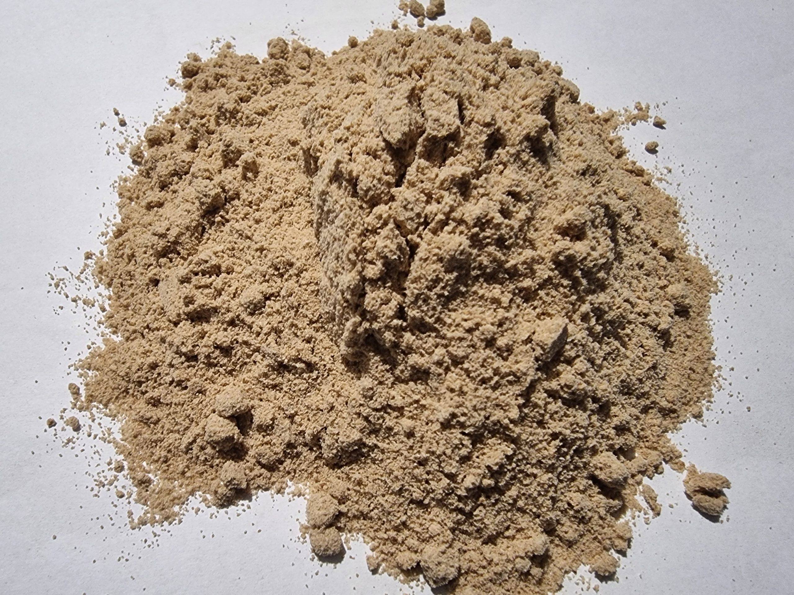 Sesame Seed Powder - Sesamum indicum