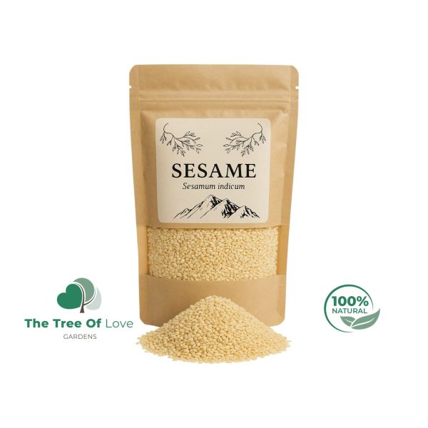Sesame Seed