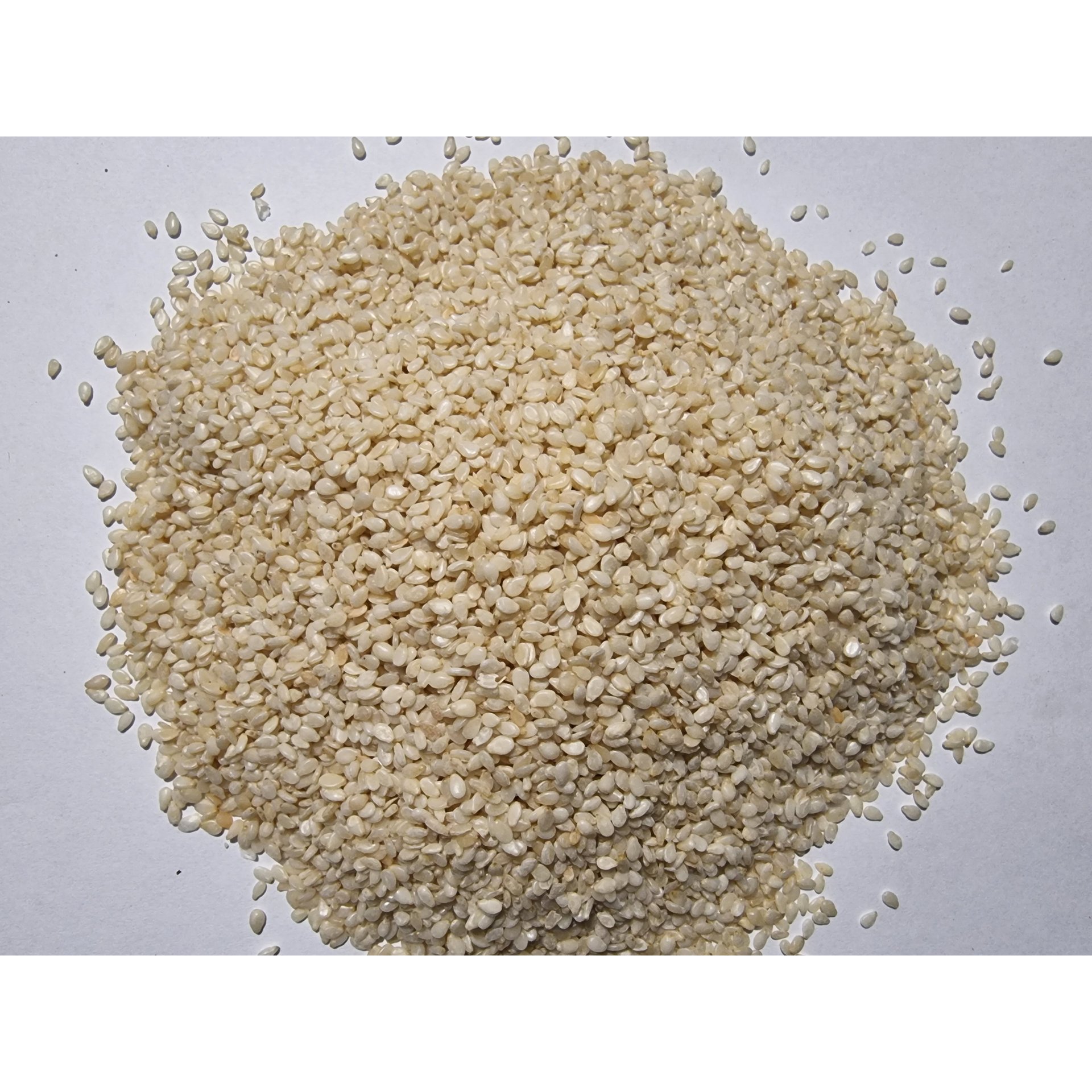 Sesame Seed