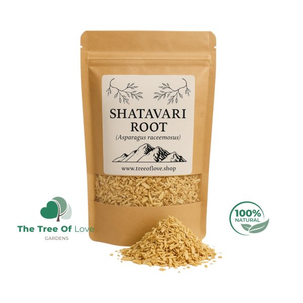 Shatavari Root