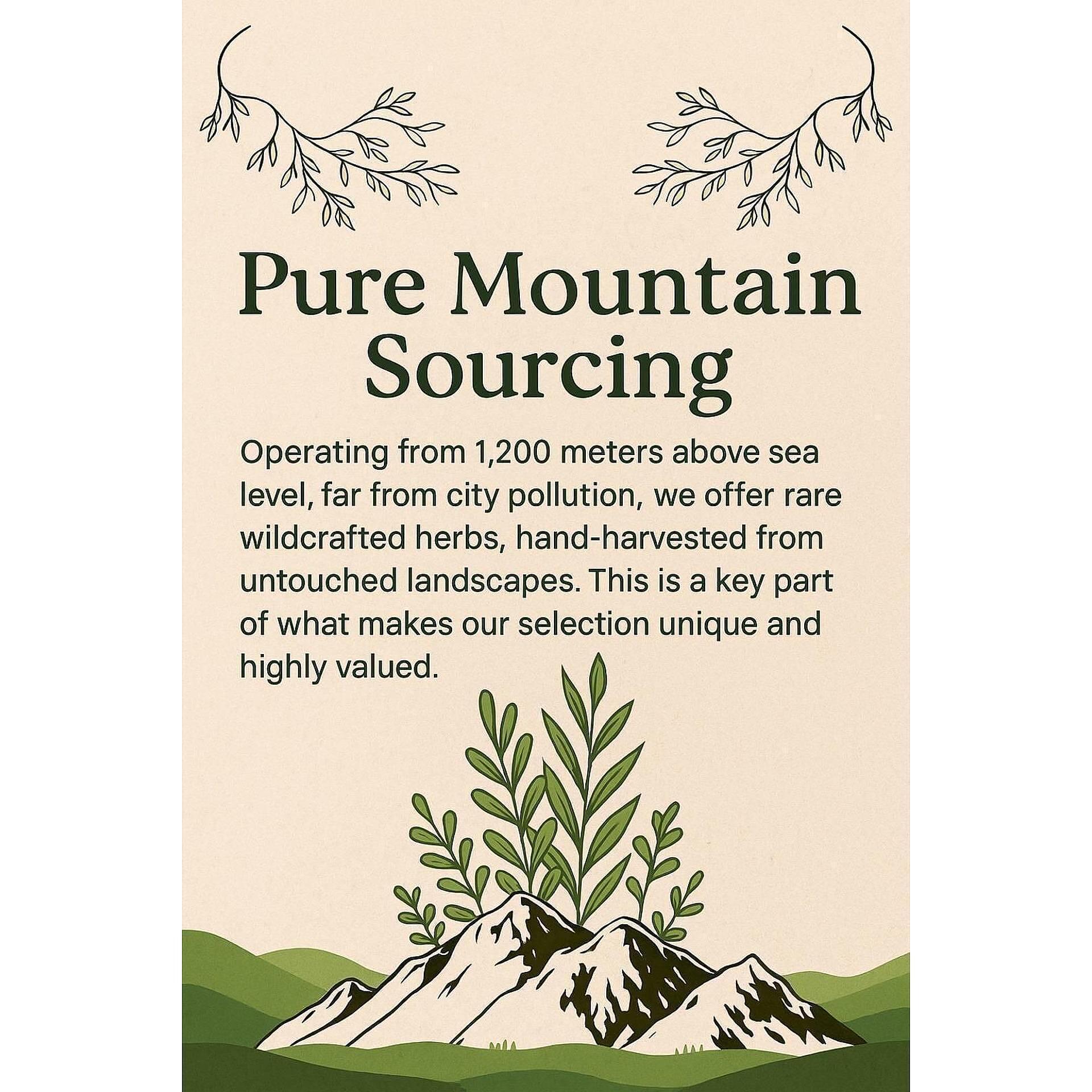 Shepherd's Purse Glycerite
