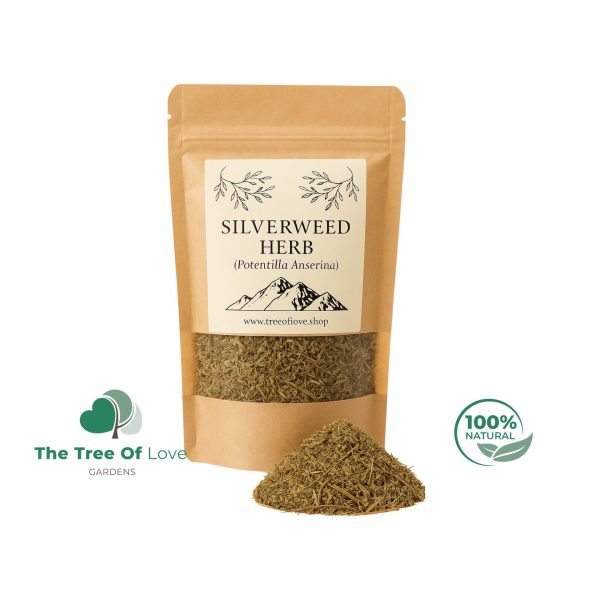Silverweed Herb