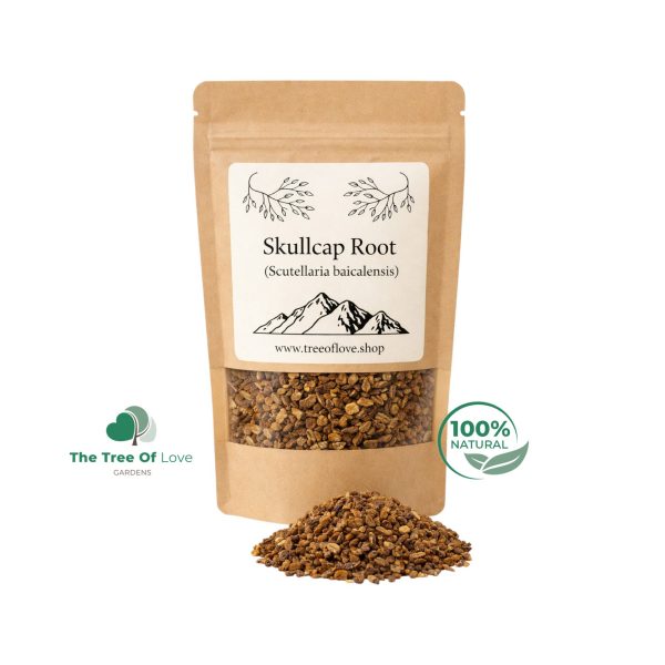 Skullcap Root