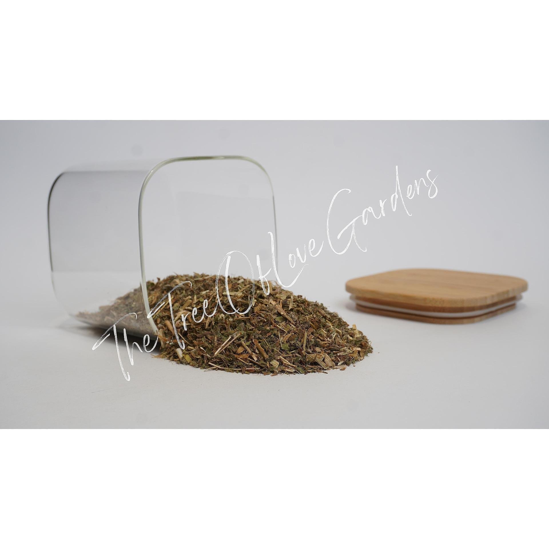 Small FLowering Willow