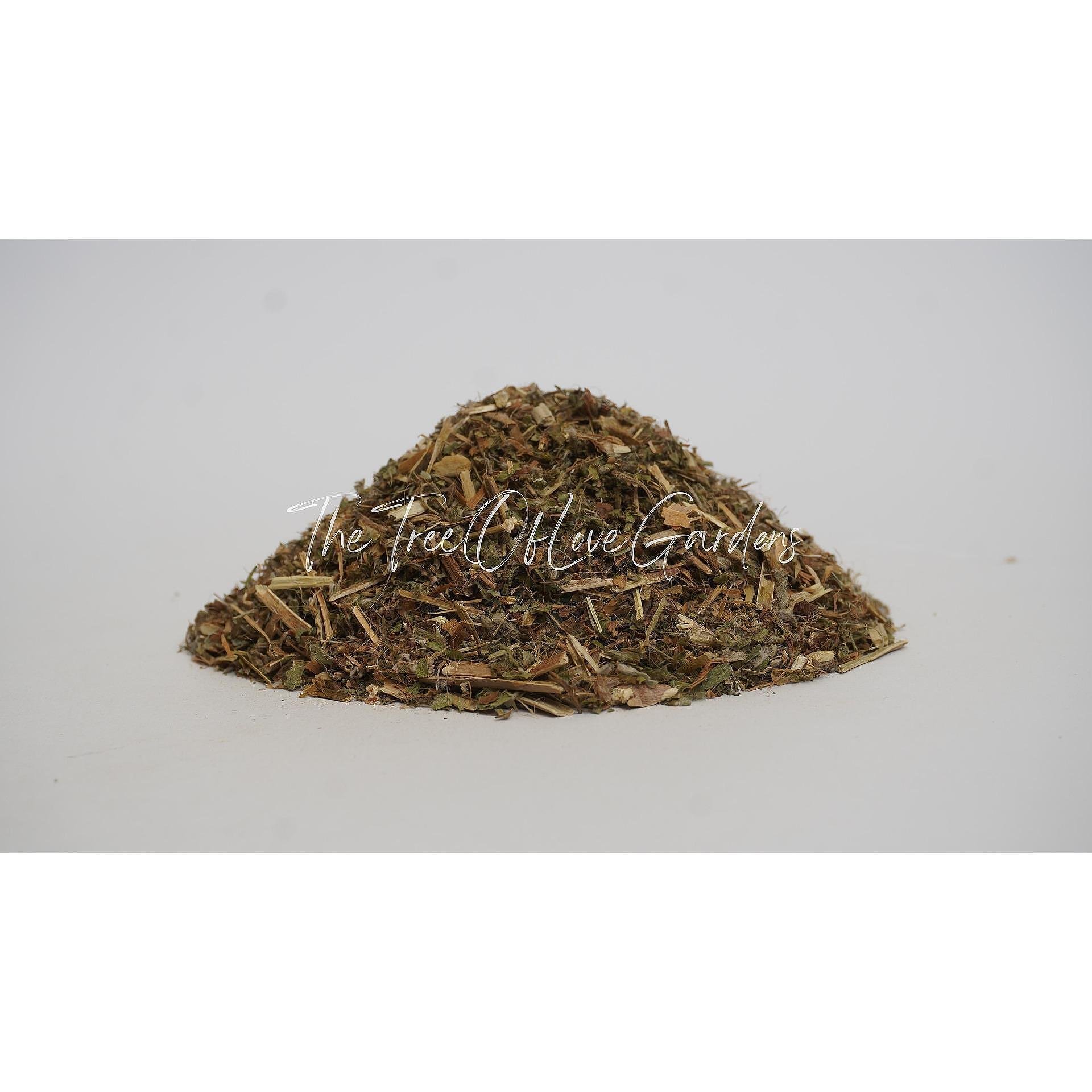 Small FLowering Willow