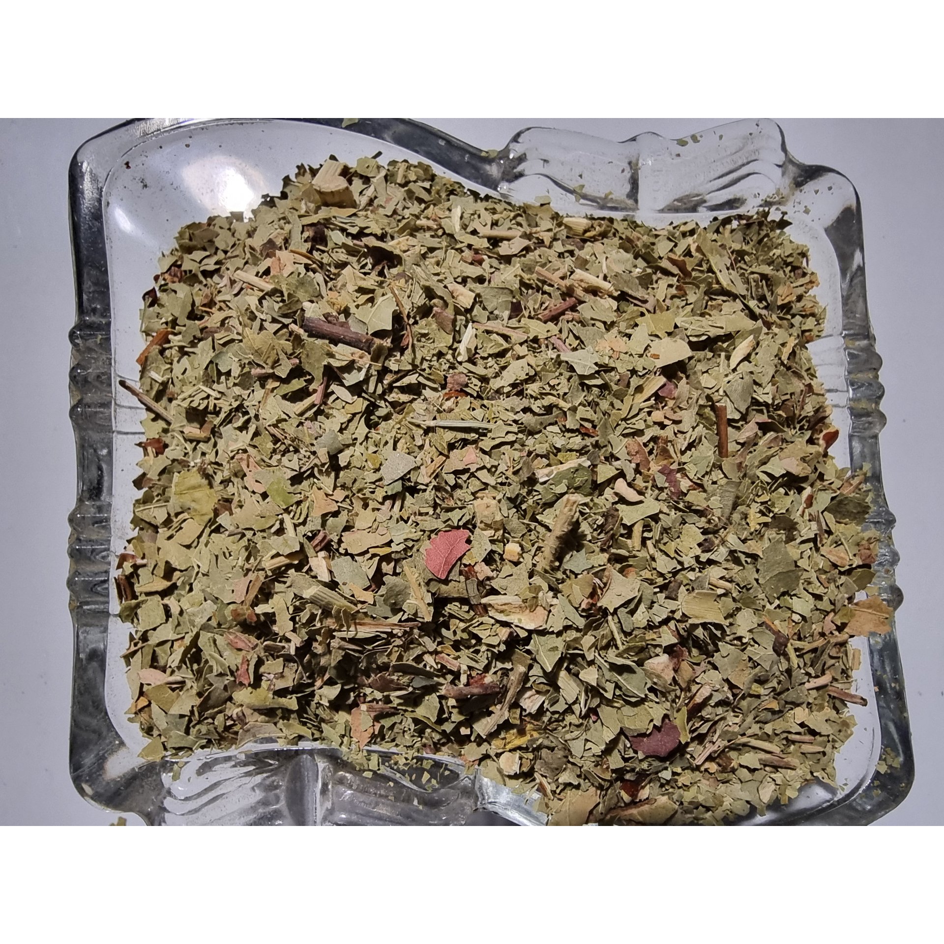 Smoke Tree Leaf