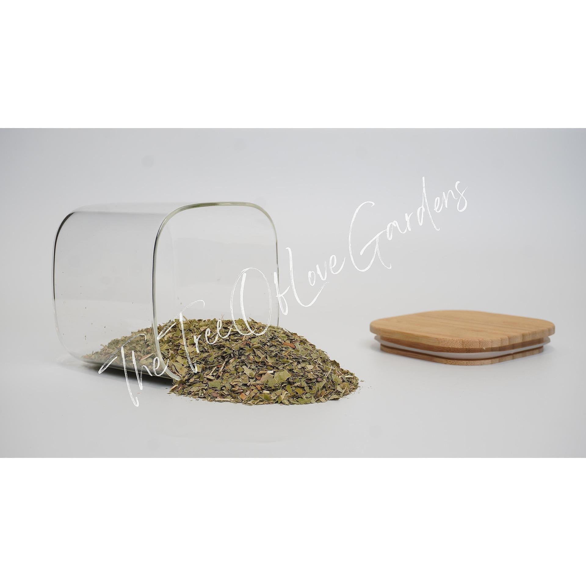 Smoke Tree Leaf