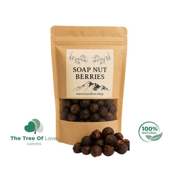 Soap Nuts