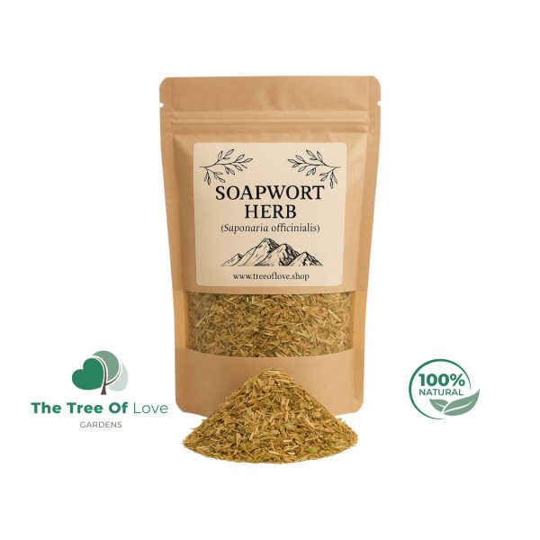 Soapwort Herb