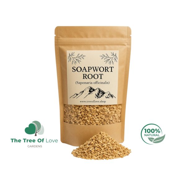 Soapwort Root