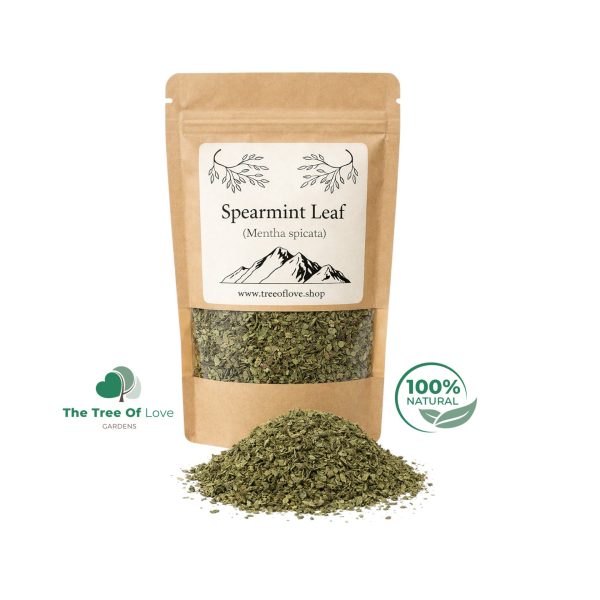 Spearmint Leaf