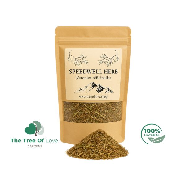 Speedwell Herb