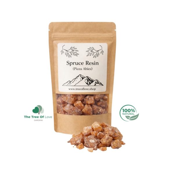Spruce Resin - Picea abies