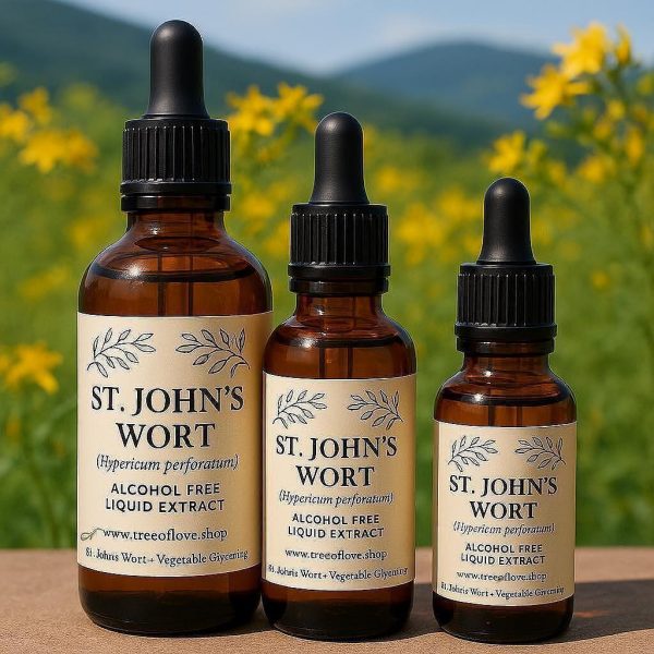 St. John's Wort Glycerite