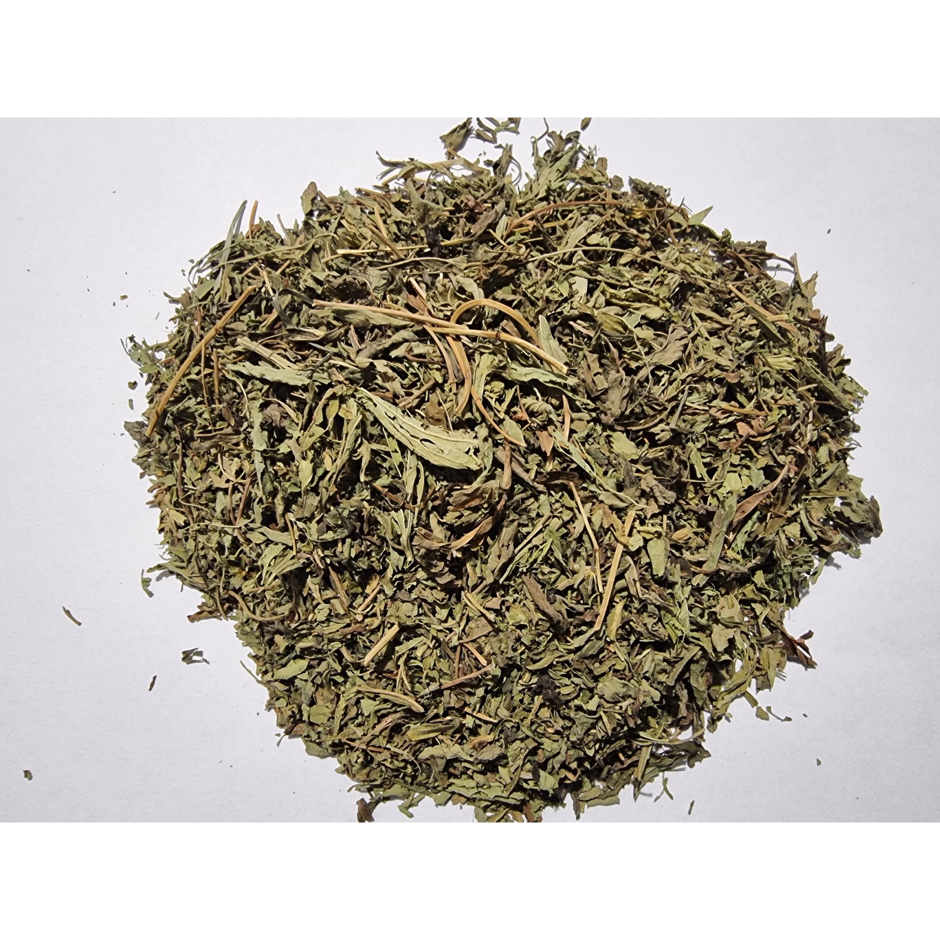 Stevia Leaf