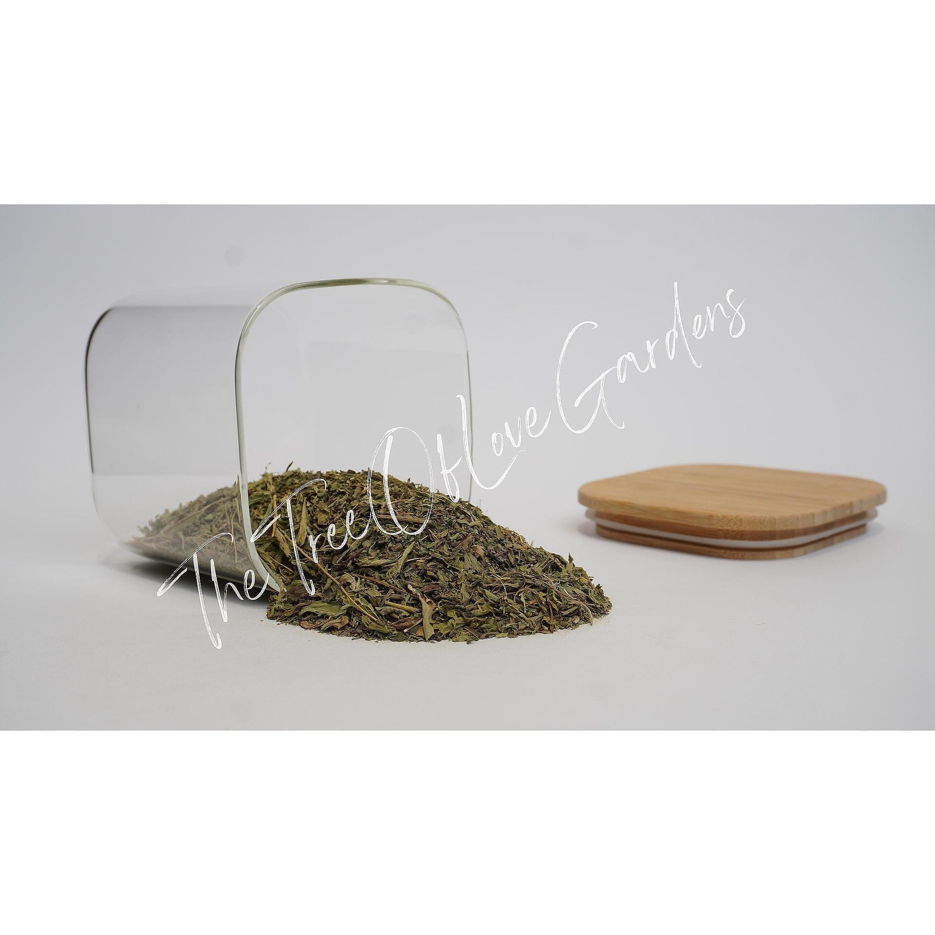Stevia Leaf