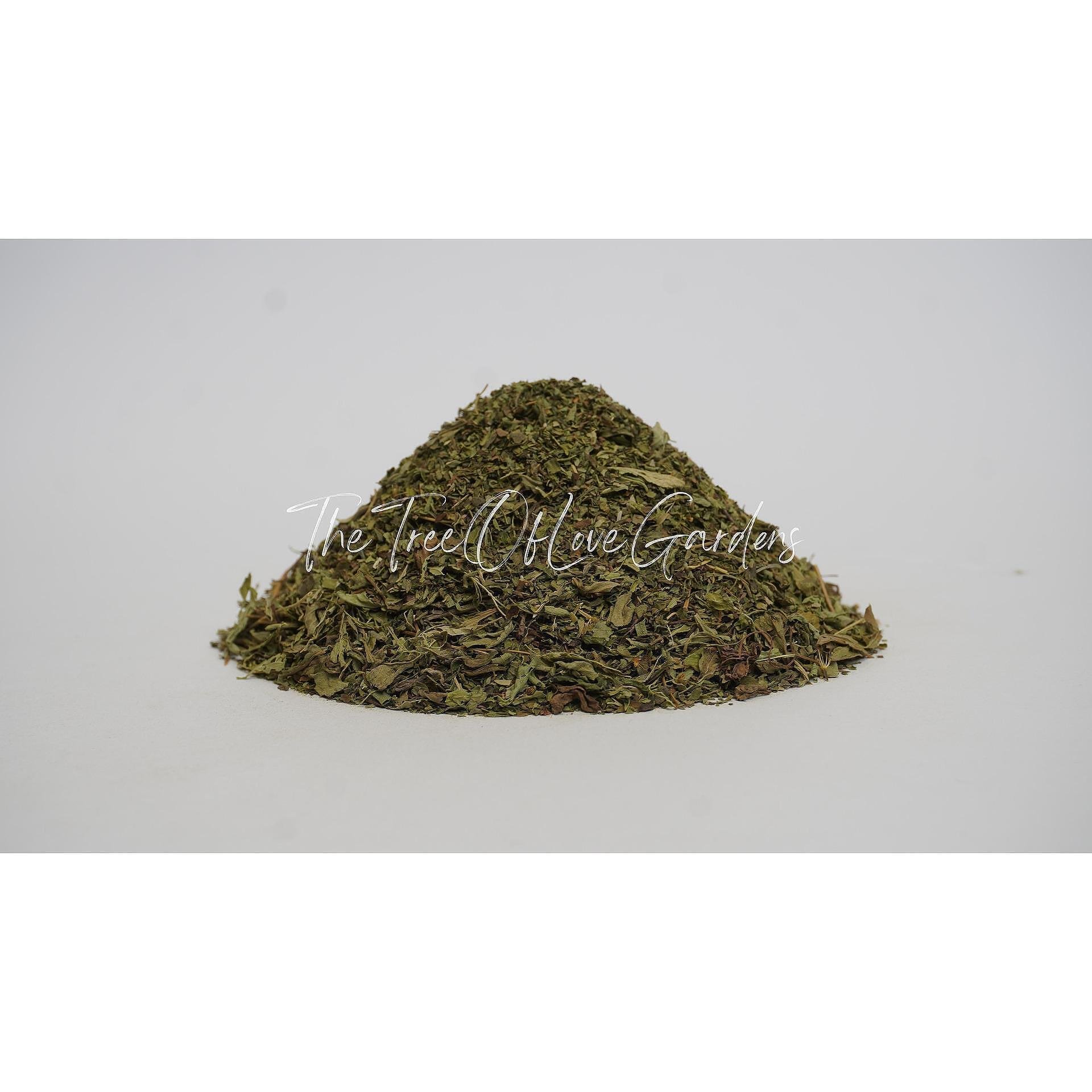 Stevia Leaf