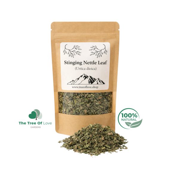 Stinging Nettle Leaf