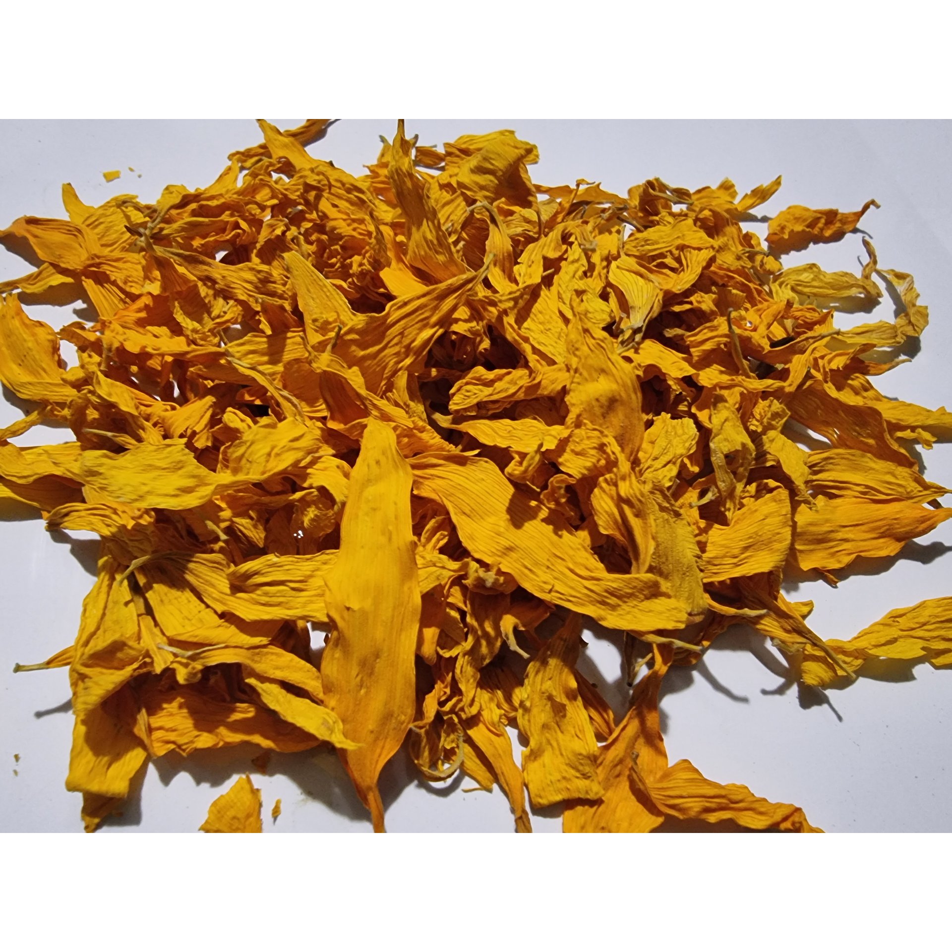 Sunflower Petals