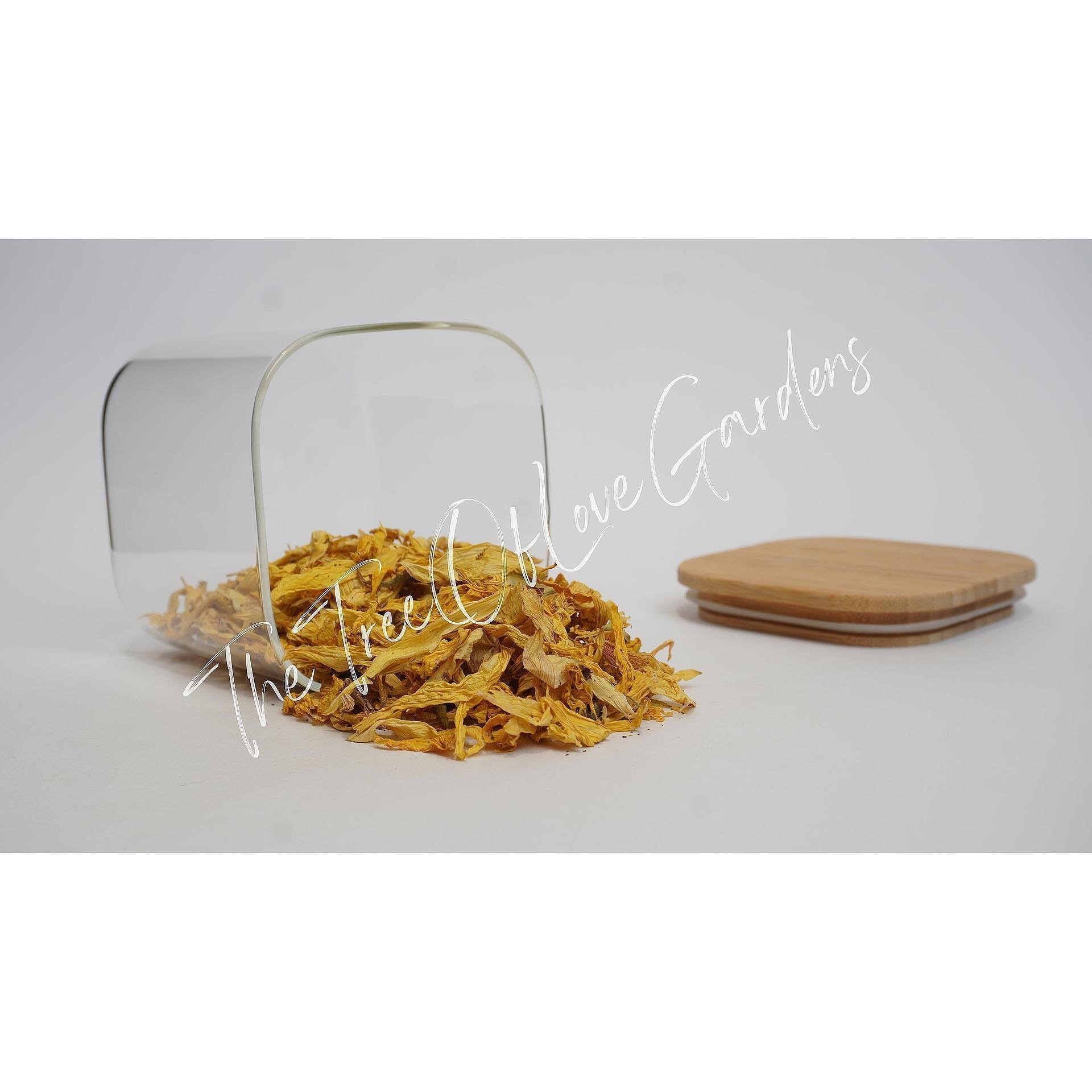 Sunflower Petals