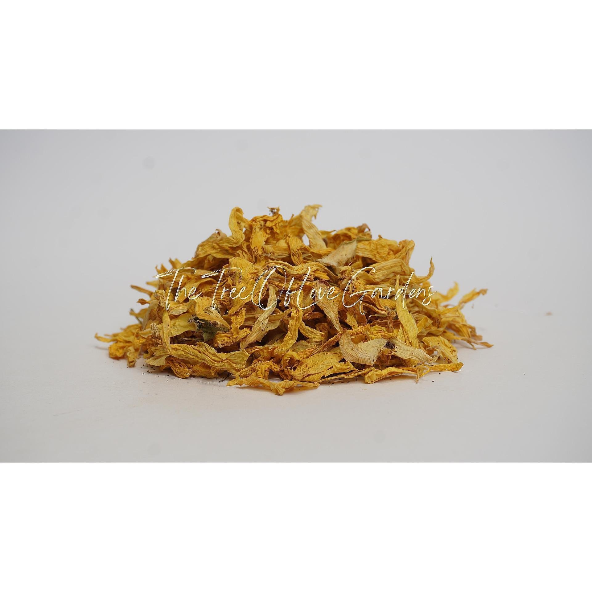 Sunflower Petals
