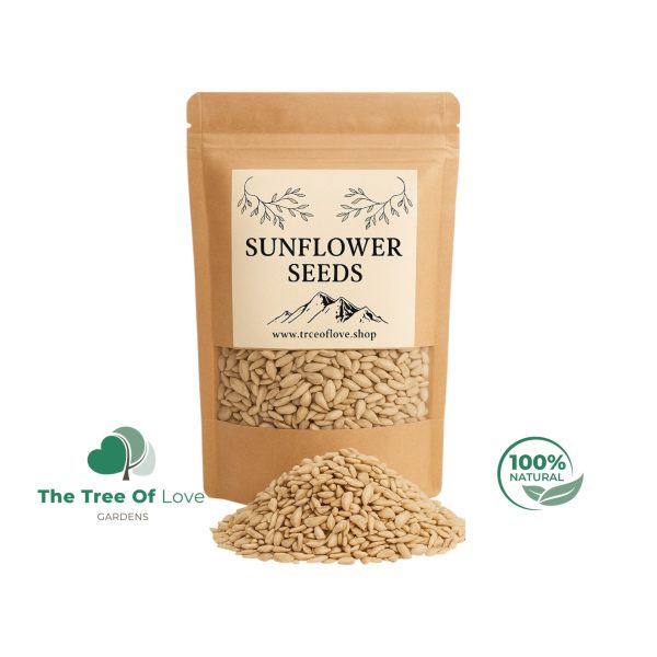 Sunflower Seeds Unshelled
