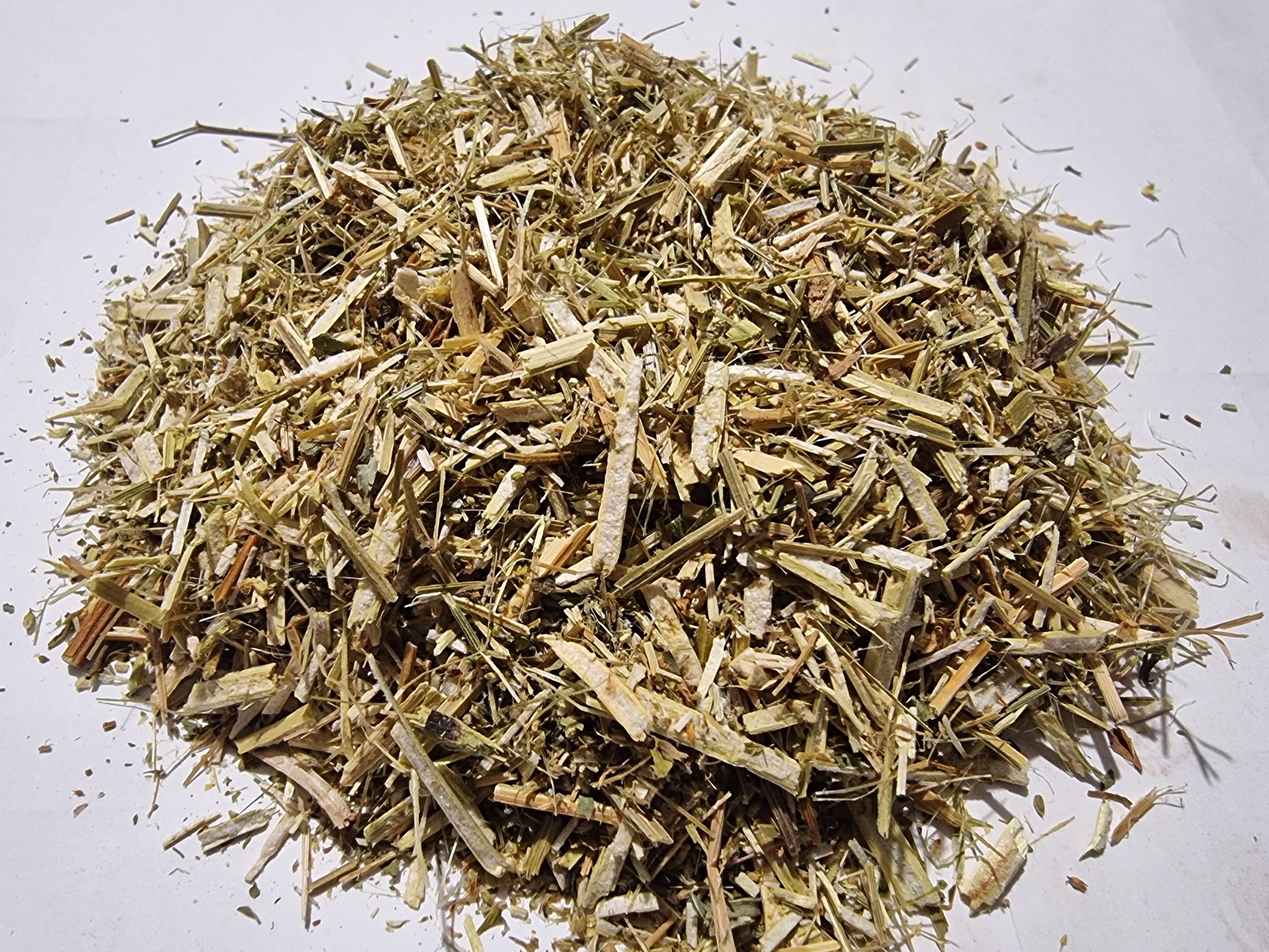 Sweet Clover Melilot