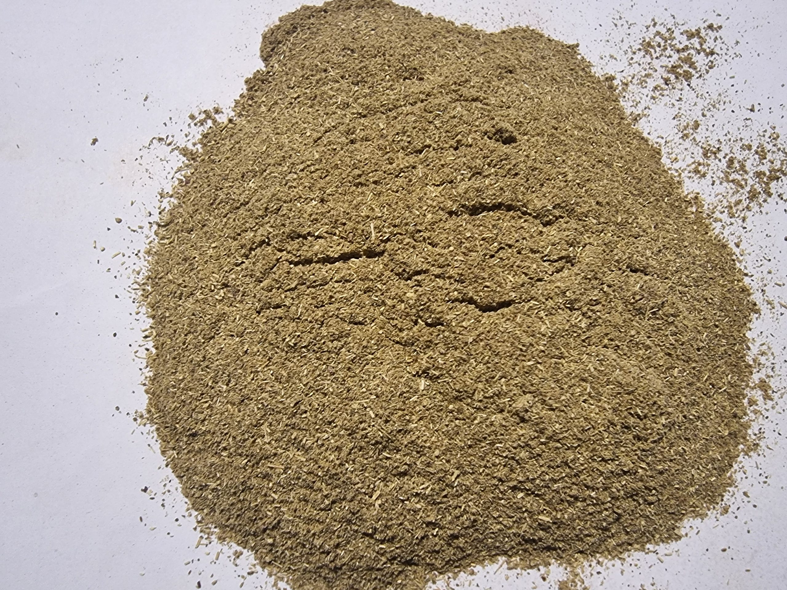 Sweet Wormwood Powder