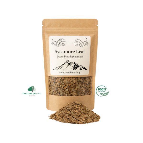 Sycamore Leaf Tea