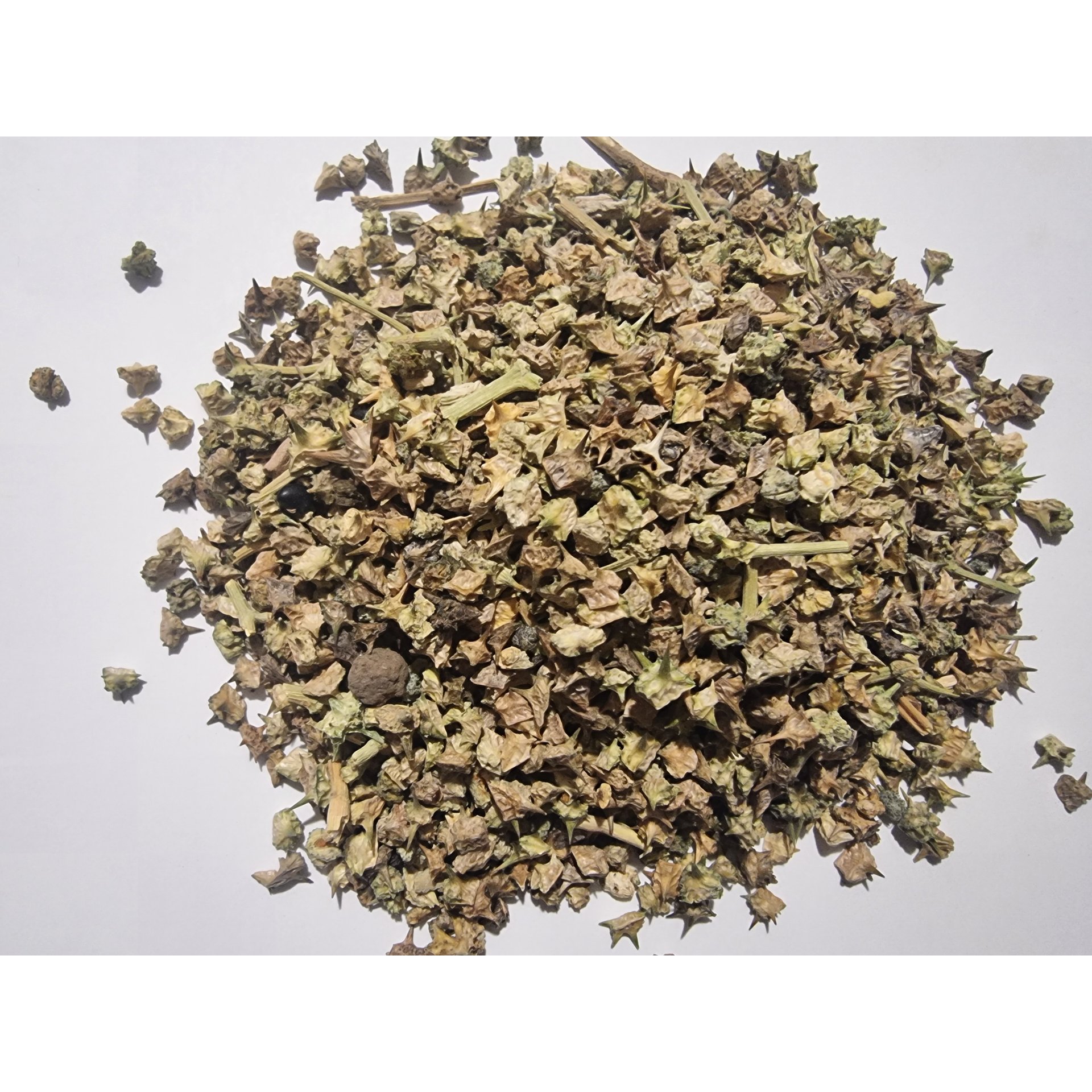 Tribulus Terrestris Fruit