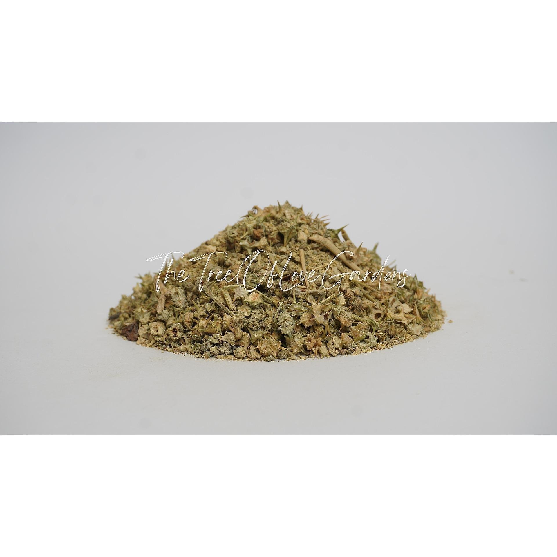 Tribulus Terrestris Fruit