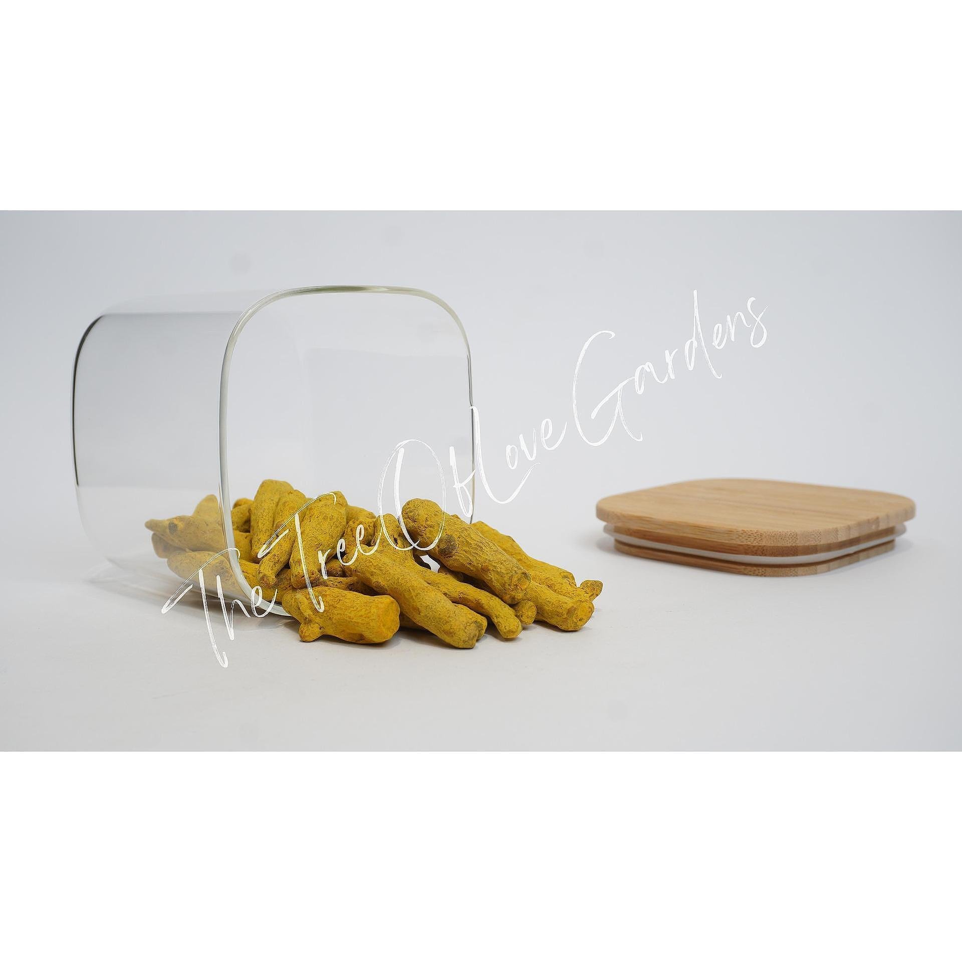 Turmeric Root