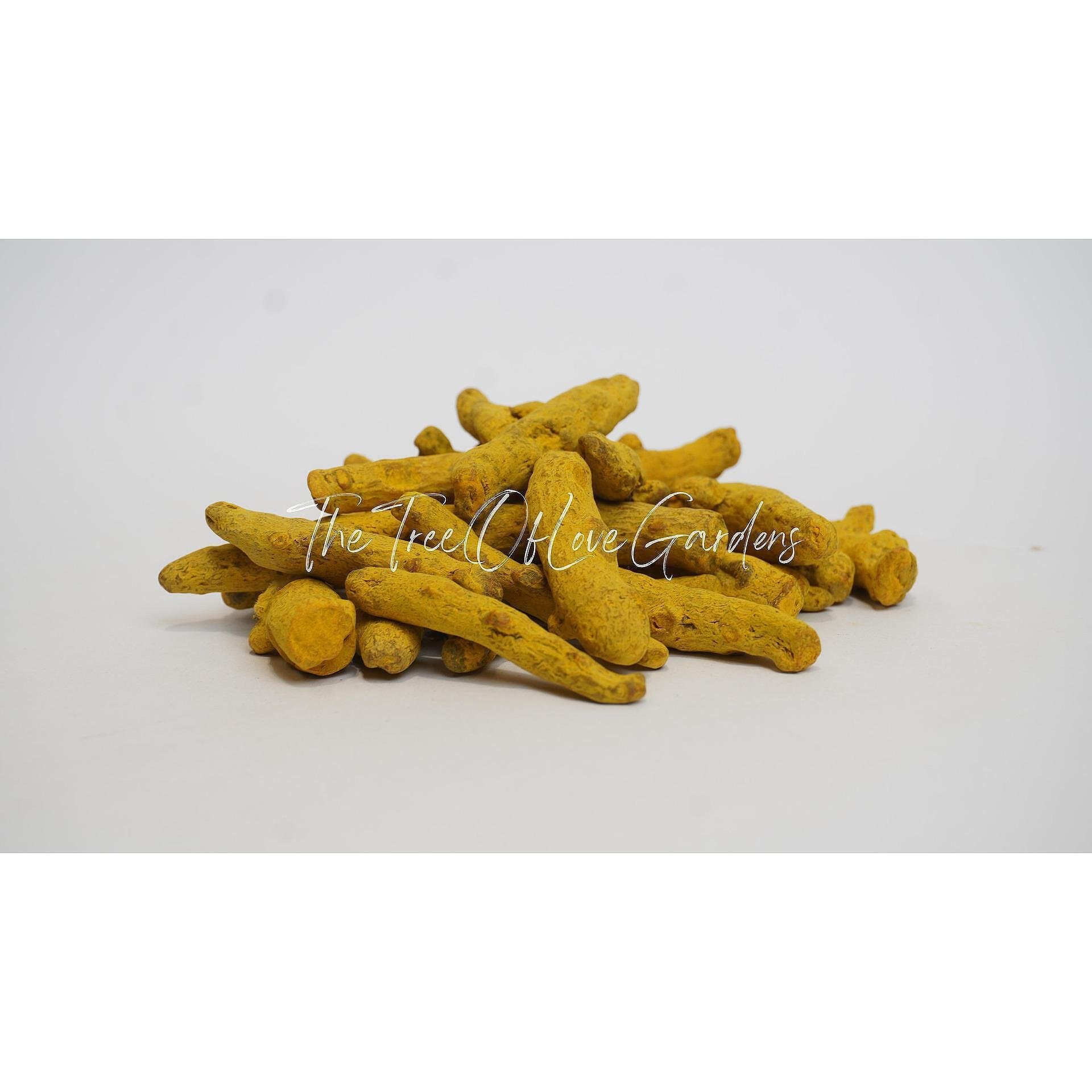 Turmeric Root