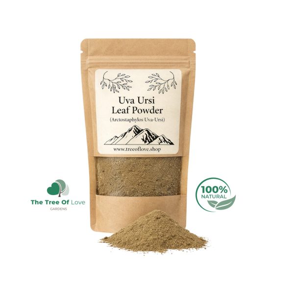 Uva Ursi Leaf Powder