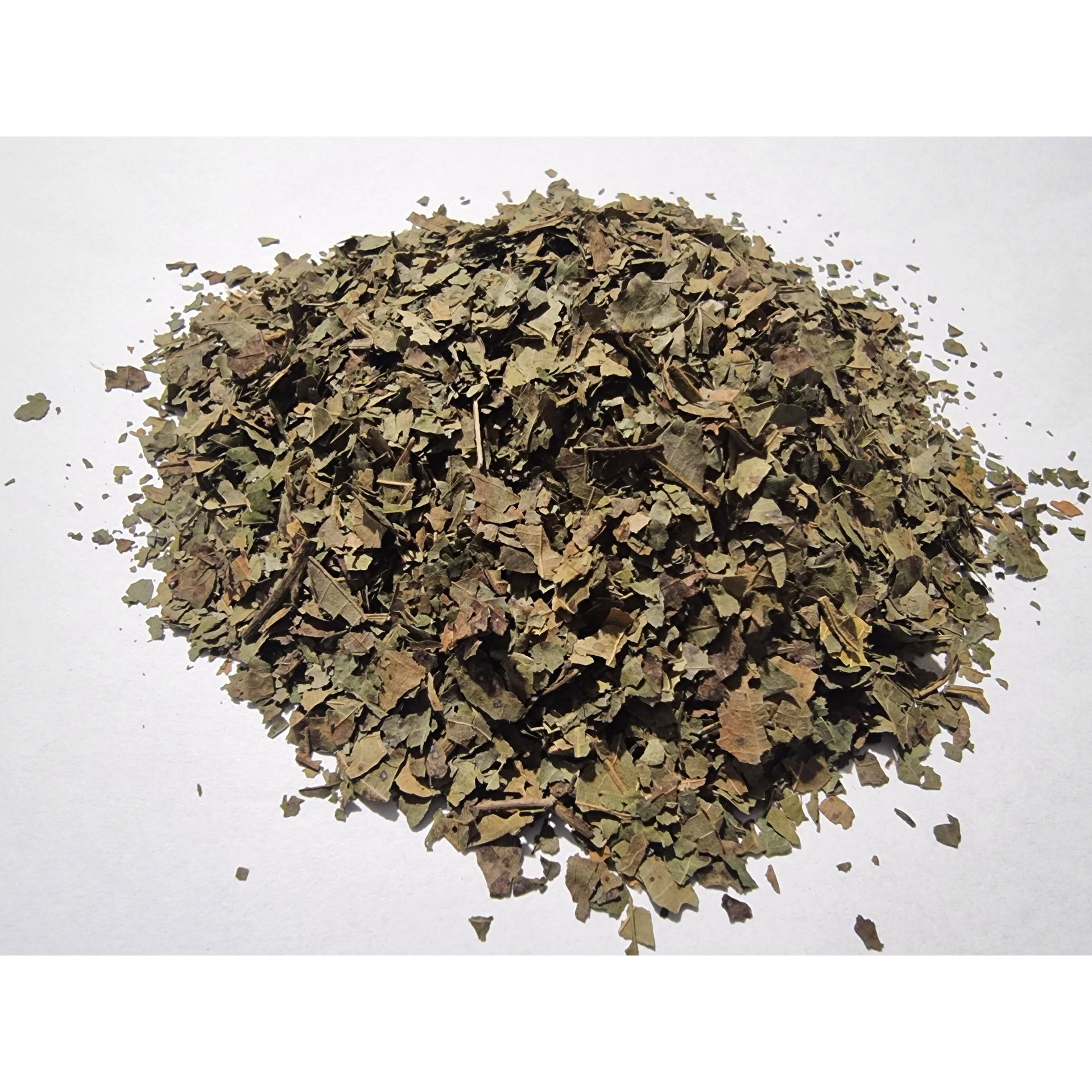 Walnut Leaf