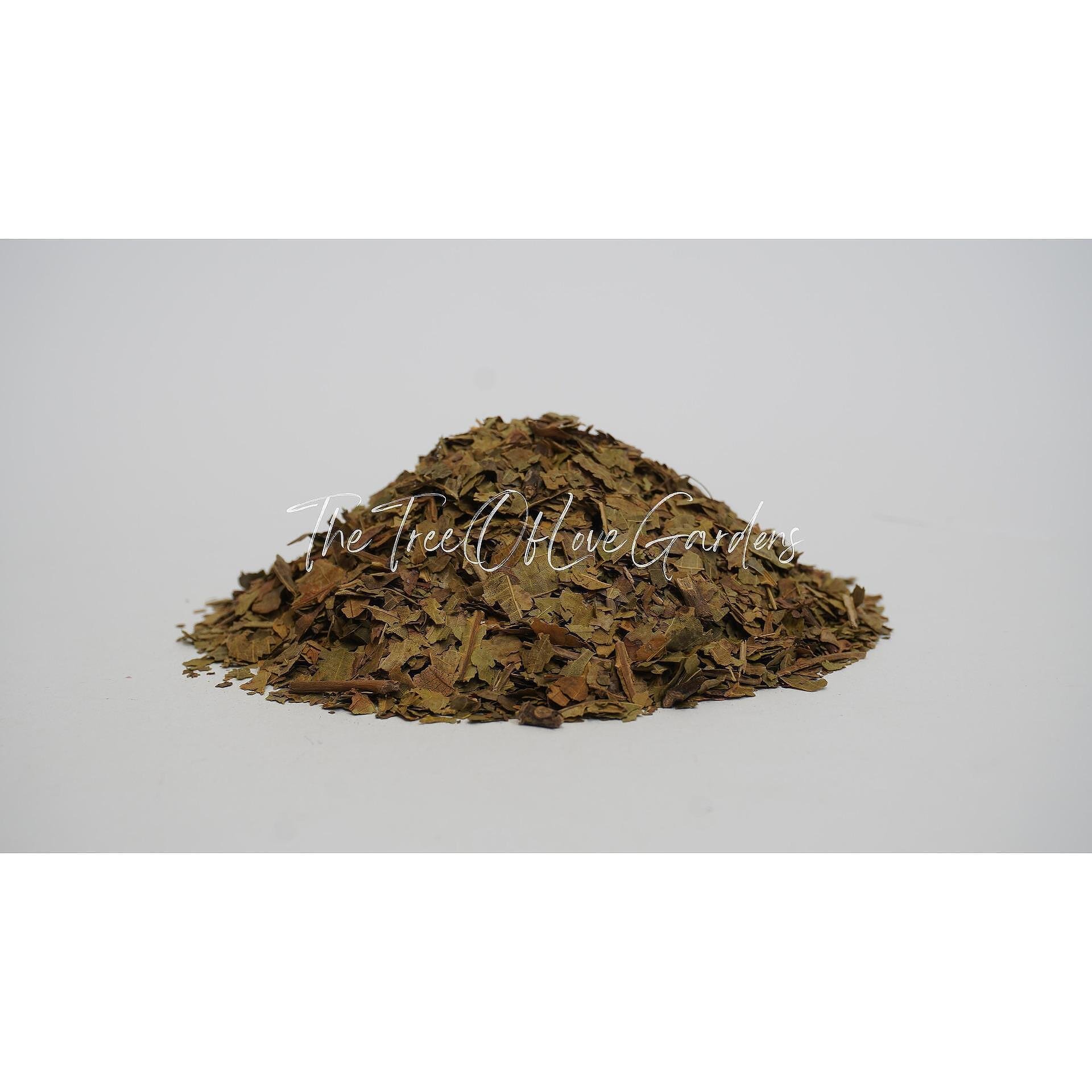 Walnut Leaf